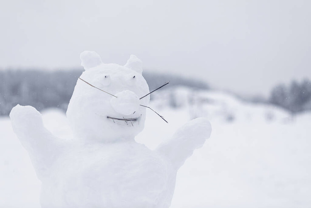 The figure of funny snowman animal in snowy field - Foto, Imagem