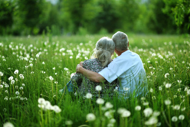 Senior couple sitting on the grass in the park  - Foto, immagini