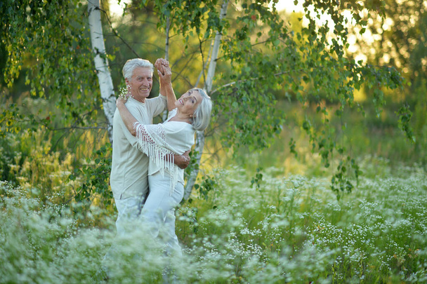 happy senior couple dancing  in summer park - 写真・画像
