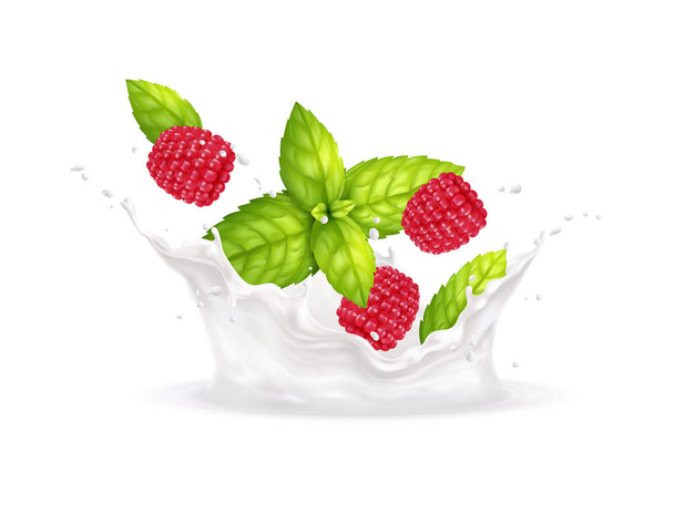 Frambuesas Salpicaduras de leche Ilustración - Vector, imagen