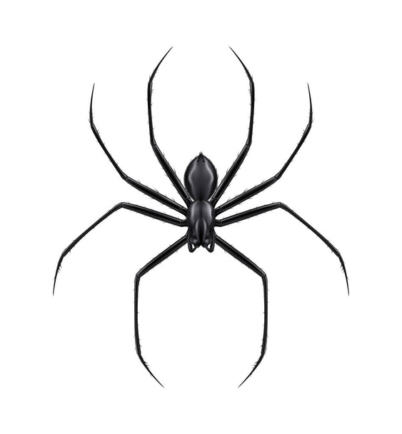 Black Spider Illustration - Vector, Imagen