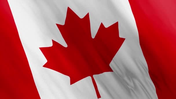 Animated Canada Flag Waving in the Wind - Footage, Video