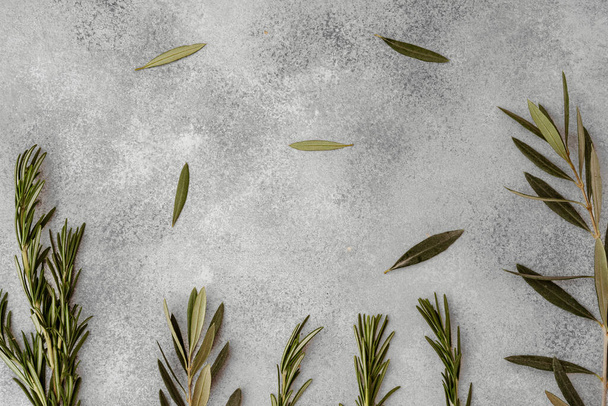 Fresh green olive leaves on light gray background, top view - Photo, Image