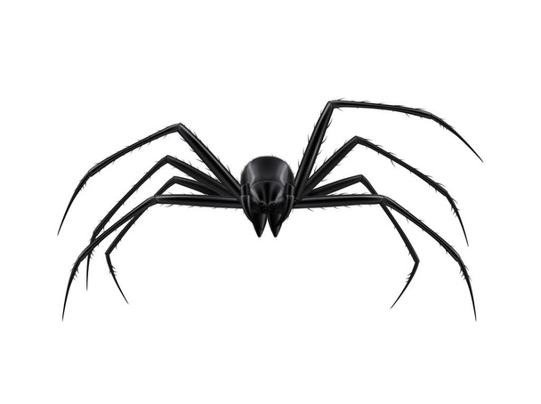 Realistyczna ilustracja pająka - Wektor, obraz
