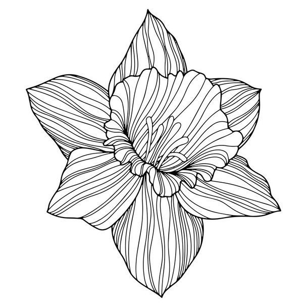 白地に孤立した花、手描きのスケッチ、ベクトルフラワーイラスト。Eps 10 - ベクター画像