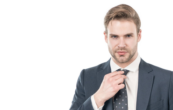 Portrait of serious professional man adjusting necktie in formal business suit, guy - 写真・画像