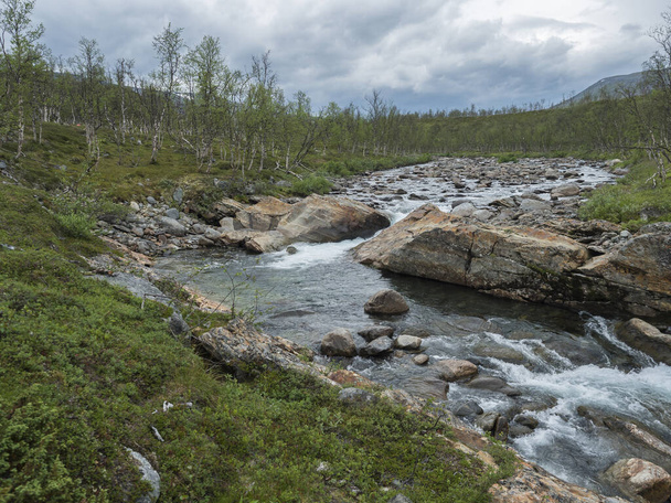Milky blue creek stream rapids with stones in Lapland landscape with snow capped mountain, birch tree and green bush at Padjelantaleden hiking trail, north Sweden wild nature. Summer cloudy day - Photo, Image