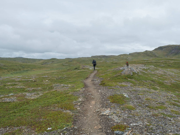 Μοναχικός άνθρωπος πεζοπόρος φιγούρα με σακίδιο με τα πόδια στο μονοπάτι στη Λαπωνία τοπίο με πράσινα βουνά, σημύδες και ογκόλιθους. Σουηδία καλοκαίρι άγρια φύση, Padjelantaleden πεζοπορία διαδρομή. - Φωτογραφία, εικόνα