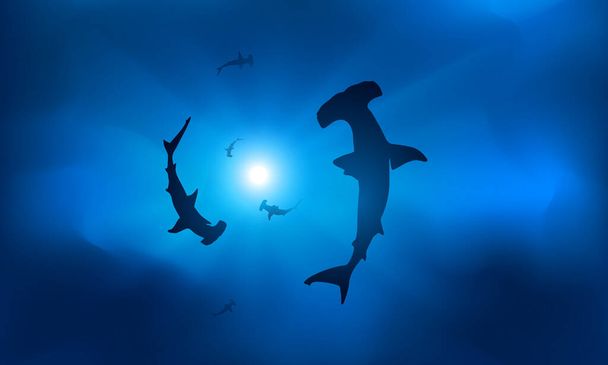 Siluetas de tiburones en agua azul en los rayos del sol. - Vector, imagen
