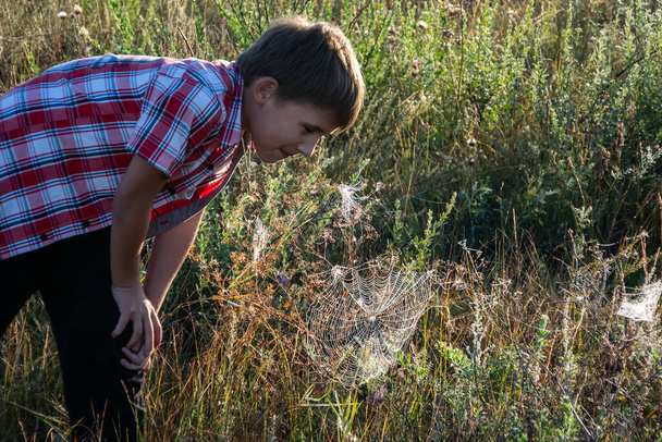 A little boy on the field looking at the spider's web. The concept of environmental conservation, the observation of insects in the natural environment. Raising a love for nature in children - Φωτογραφία, εικόνα