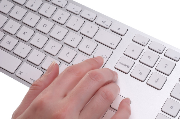 Female hands typing - Photo, Image