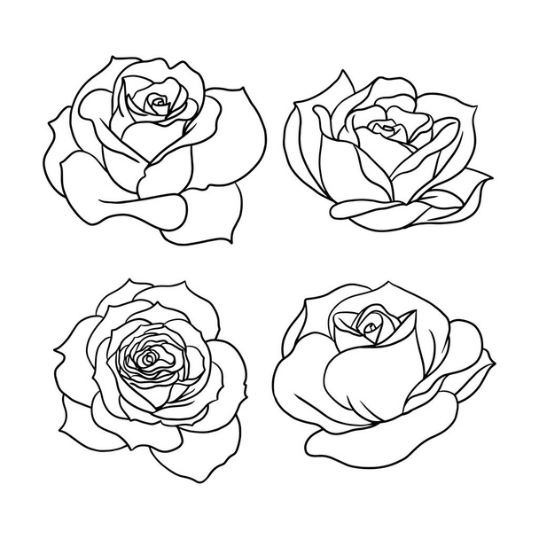various rose petal illustration isolated on white. uncolored roses for design composition as an element on wedding invitations, greeting cards, and more. - Vecteur, image