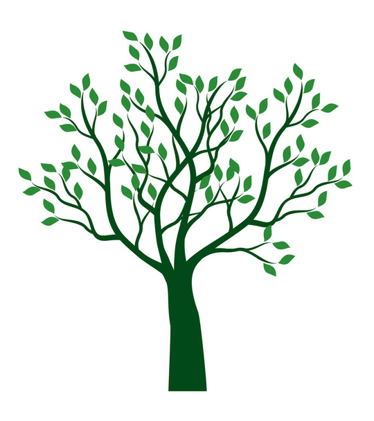 Green Tree. Vector outline Illustration. Plant in Garden. - Vector, afbeelding