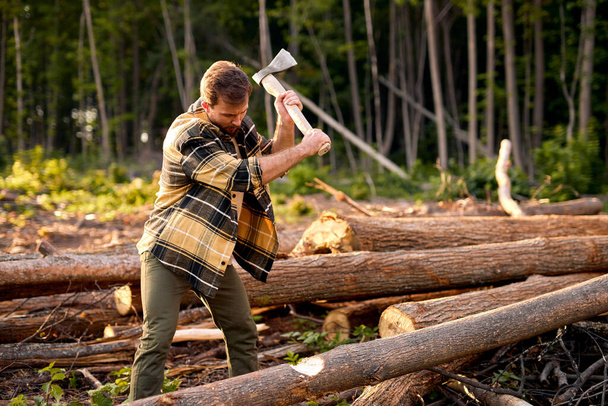 Wood man holding heavy ax. Axe in lumberjack hands chopping or cutting wood trunks - Foto, Imagen