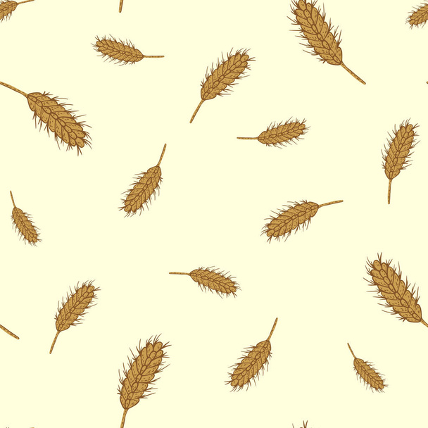 Wheat seamless pattern. Cereal crop sketch. Repeated texture in doodle style for fabric, wrapping paper, wallpaper, tissue. Vector illustration. - Vector, Image