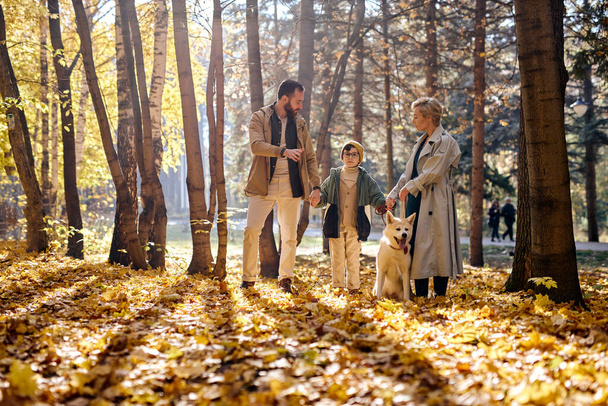 friendly little boy walk with pet, mother and father together in autumn park. - 写真・画像