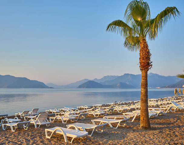 homokos strand emberek nélkül és napozóágyakkal, esernyőkkel, pálmafákkal, Marmaris, Törökország, - Fotó, kép