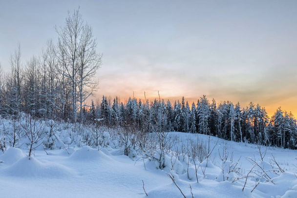 Winter morning in the forest with snow-covered trees, dawn. Travel concept - Fotó, kép