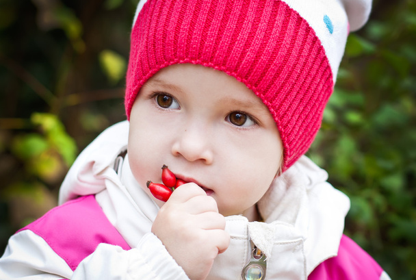 φθινόπωρο πορτρέτο του χαριτωμένο μικρό κορίτσι - Φωτογραφία, εικόνα
