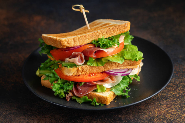 Tasty appetizing sandwich with ham and vegetables served on plate - Fotó, kép