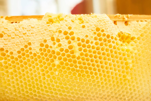 Úl. Koncept včelařství. Pozadí textury části voskové voskové voskové plástve z včelího úlu naplněného zlatým medem - Fotografie, Obrázek