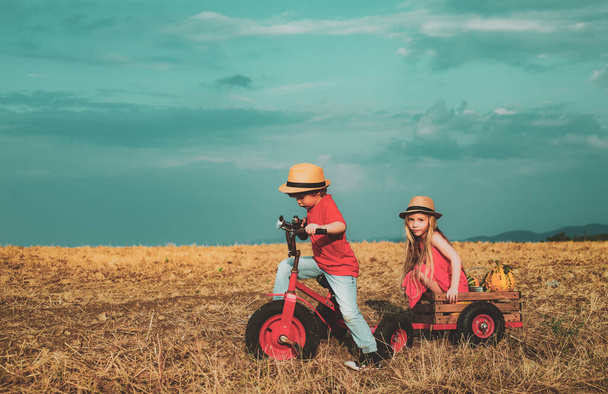 Childhood memories. Brother and sister farmers cycle on spring field. Active children concept. Nature and children lifestyle. Children farmer concept. Eco living. - Foto, Imagen