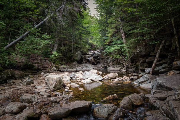 Trail to Lonesome Lake, White Mountains, New Hampshire - Foto, immagini