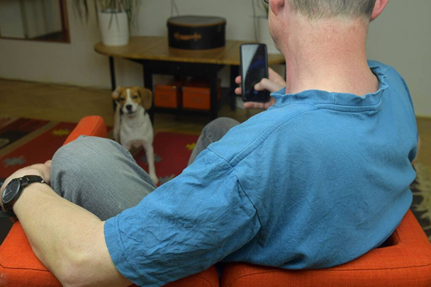 Egy férfi és egy cuki beagle dog portréja. POV boldog kutya tulajdonos és kiskutya beagle kutya a nappaliban. Hiteles kép. Nincs raktárkép. - Fotó, kép