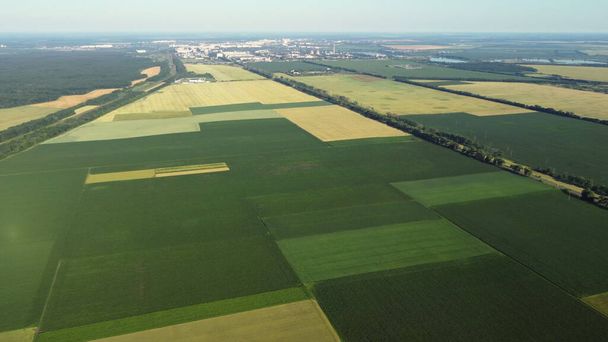 異なる農業分野での空中ドローンの眺め飛行 - 写真・画像