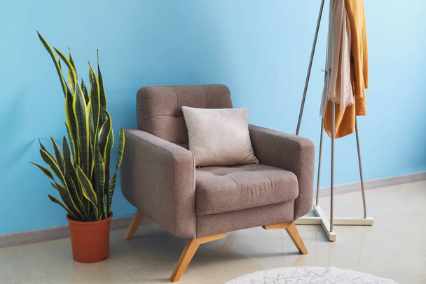 Bequemer Sessel, Zimmerpflanze und Gestell in der Nähe der Farbwand im Zimmer - Foto, Bild