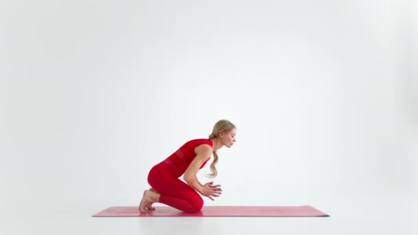 Flexible chica en forma practican yoga o pilates realizan Wild Thing Pose para estiramientos y bienestar. Posturas de Yoga - Asanas. silueta aislada sobre fondo blanco. - Metraje, vídeo