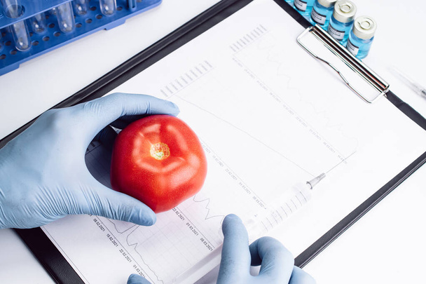 Генетическая модификация ГМО. Ученый вводит жидкость из шприца в красный помидор. Генетически модифицированные продукты питания - Фото, изображение