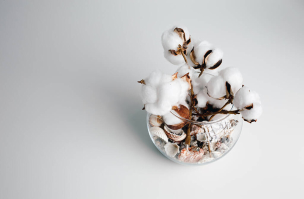 Cotton branch in a glass bowl on white background. Delicate white cotton flowers. Light cotton background, flat lay. cotton flowers on pastel gray background. Top view, copy space. - Фото, зображення