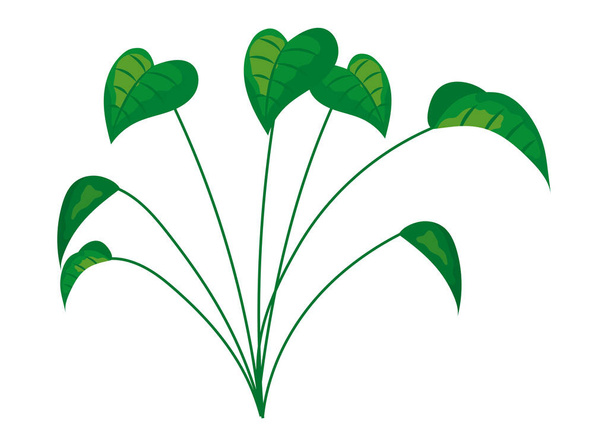 pothos plant icon - Διάνυσμα, εικόνα