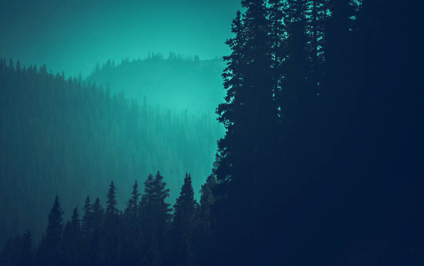 Colorado Mountains Woodland Bluish Color Grading Backdrop. Concept Nature Background. - Фото, изображение