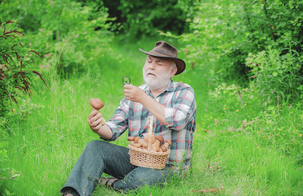 Happy Grandfather - summer and hobbies. Old man walking. Grandpa Pensioner. Senior hiking in forest. Grandfather with basket of mushrooms and a surprised facial expression. - Foto, Imagen