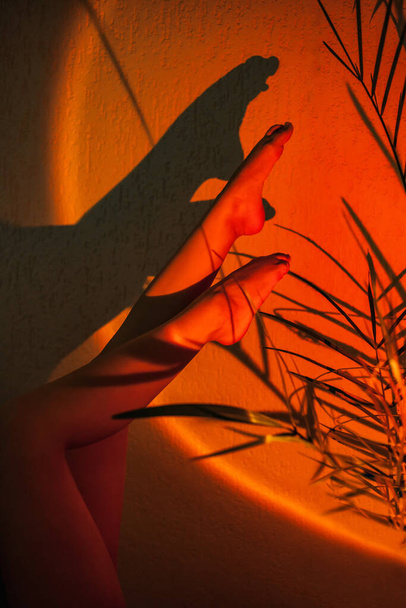 Women's legs pointing upwards, in the beam of a lamp projecting the sunset, and the shadows from the palm leaves. Concept of skin care and foot health - Foto, afbeelding