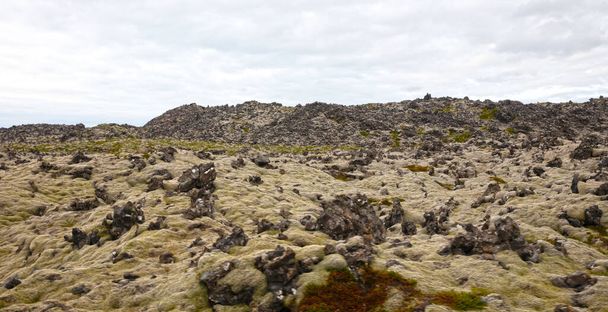 緑の苔で覆われた古い溶岩原、西アイスランド - 写真・画像