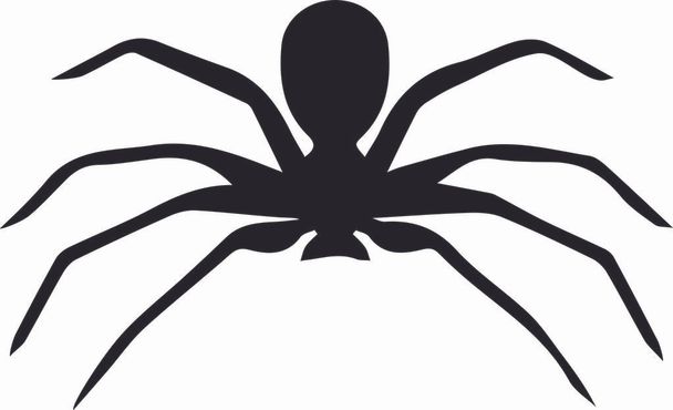 Spider black on white background - Photo, Image