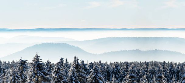 Increíble místico aumento de niebla cielo bosque nieve árboles nevados paisaje paisaje de nieve en el bosque negro (Schwarzwald) invierno, Alemania panorama místico estado de ánimo de la nieve - Foto, imagen