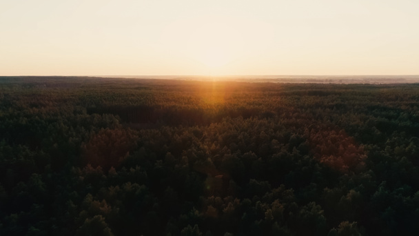 Aerial view of forest and sun in sunset sky  - Valokuva, kuva