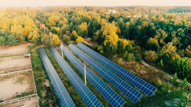 Letecký pohled na systém solárních panelů na poli poblíž lesa  - Fotografie, Obrázek