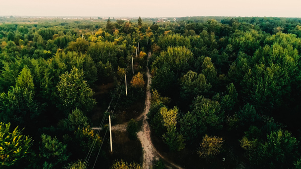 Aerial view of power lines in green forest  - Foto, Imagen