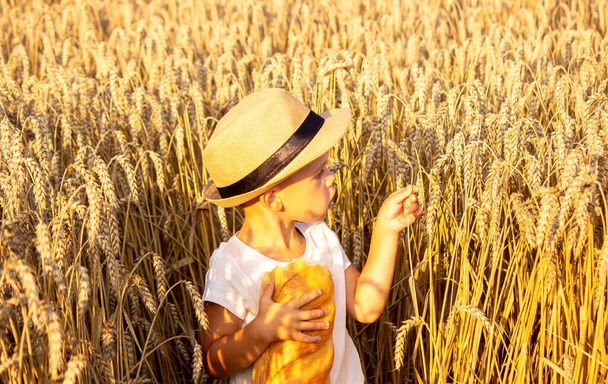 un enfant dans un champ de blé mange du pain. La nature. focus sélectif - Photo, image