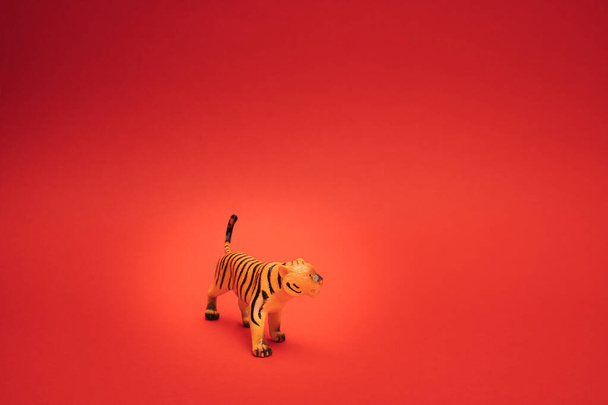 Τίγρης σε ένα κουτί.Κινέζικο νέο έτος 2022 σε κόκκινο φόντο. Αντιγραφή χώρου. - Φωτογραφία, εικόνα