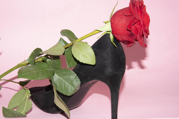 high heel fashion concept, black shoe with rose flower - Foto, Imagem