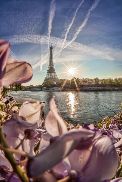 Eiffelova věž proti západu slunce během jara v Paříži, Francie - Fotografie, Obrázek