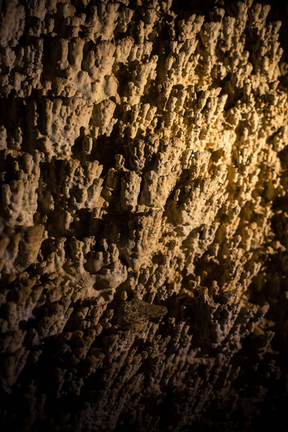 Tiny rock formations on a cave's wall. - Фото, зображення