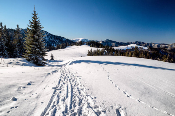 Сніговий білий пейзаж в зимових горах
. - Фото, зображення