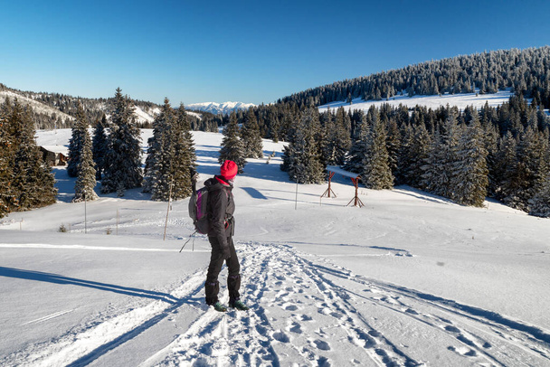 Жінка ходить по снігу в зимовій країні. Гори Велика Фатра в Словаччині - Фото, зображення